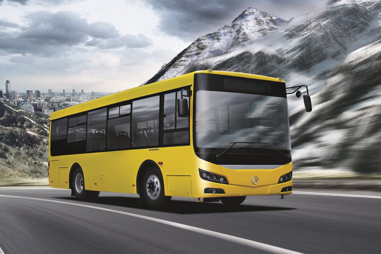 Véhicules professionnels